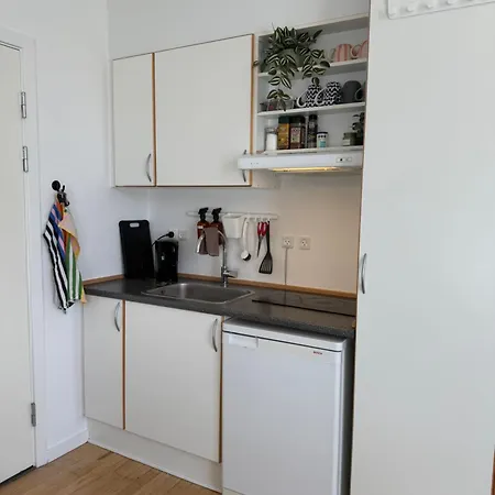 Scandinavian Near Metro Kopenhagen